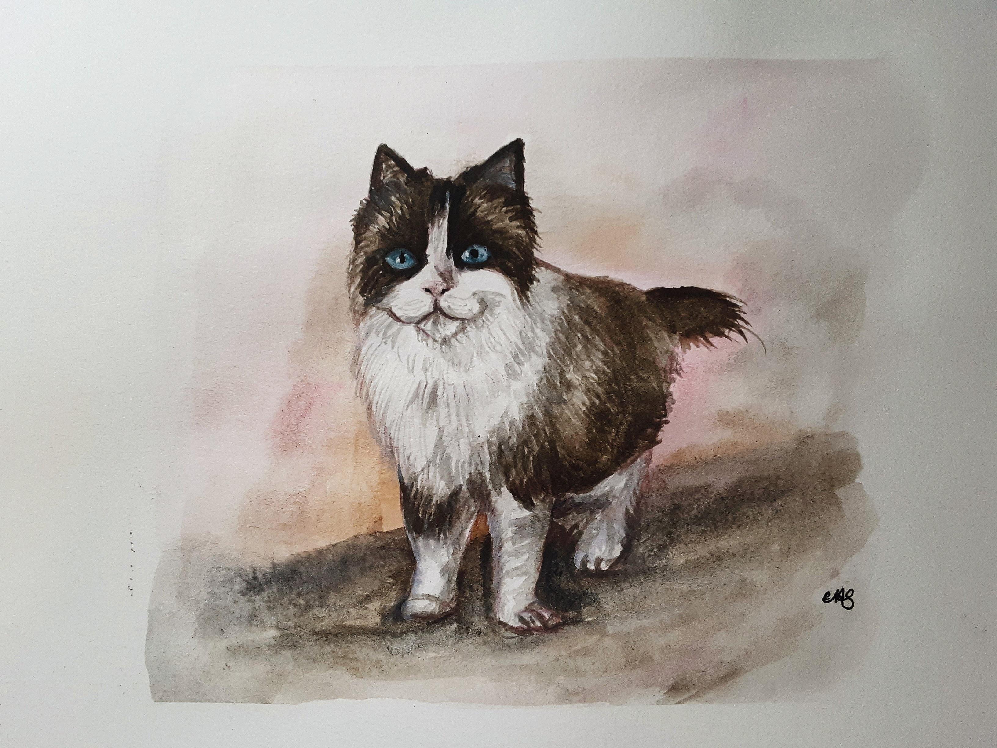 Little Friend Little Friend